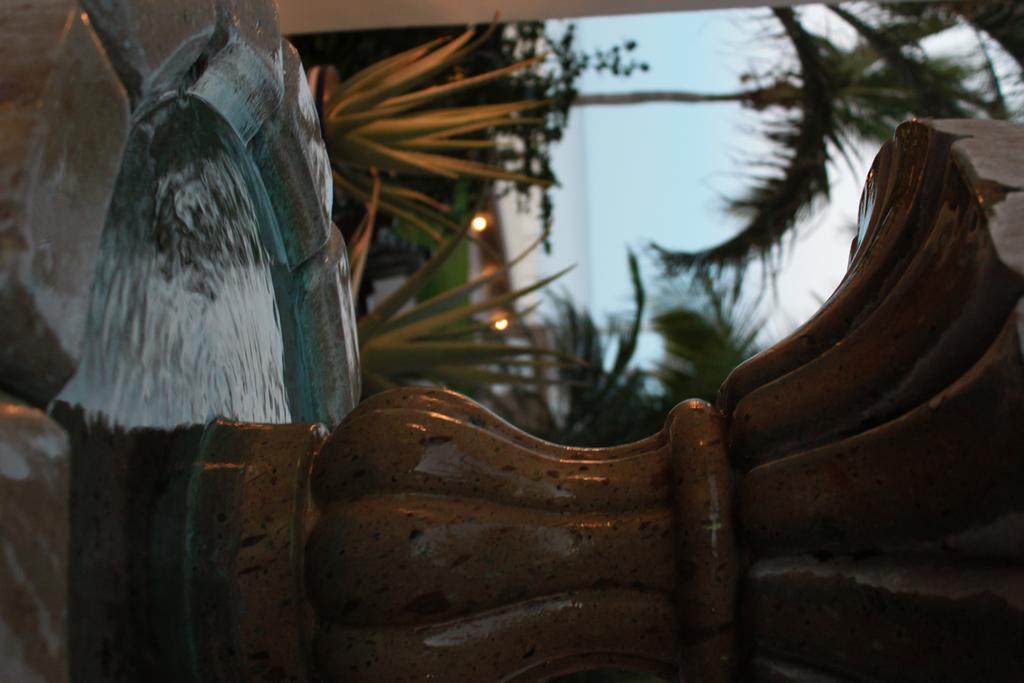 Casa Costa Azul Hotel ซานโฮเซ เดล กาโบ ภายนอก รูปภาพ