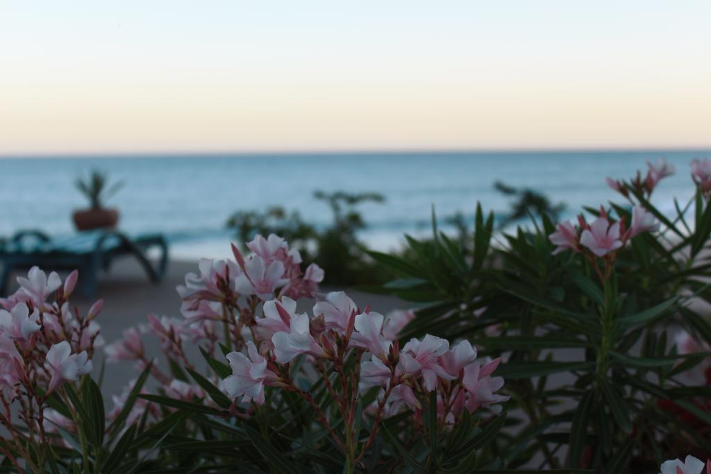 Casa Costa Azul Hotel ซานโฮเซ เดล กาโบ ภายนอก รูปภาพ
