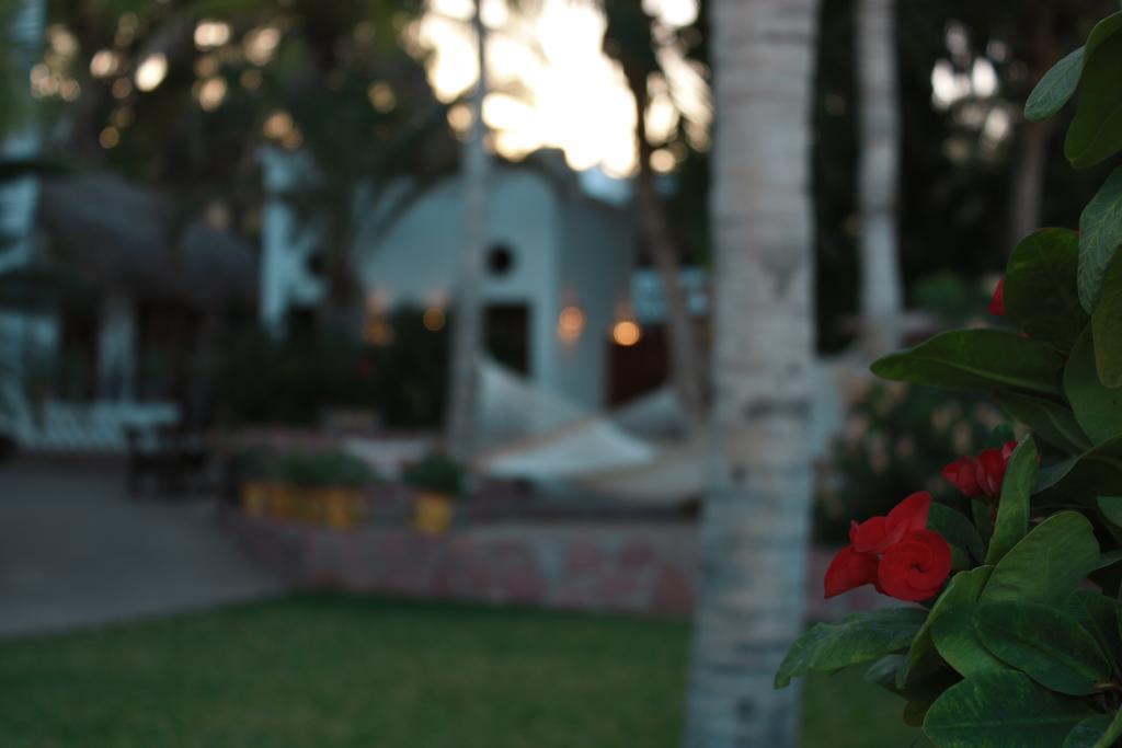 Casa Costa Azul Hotel ซานโฮเซ เดล กาโบ ภายนอก รูปภาพ
